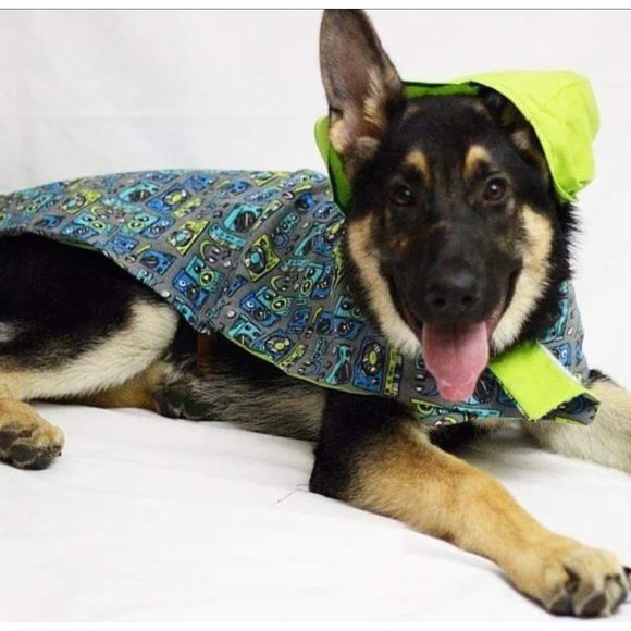 Dog Pet Dress Hoodie Costume, Dog Birthday Tutu Dog Princess Costume Pet Clothes - Picture 5 of 12